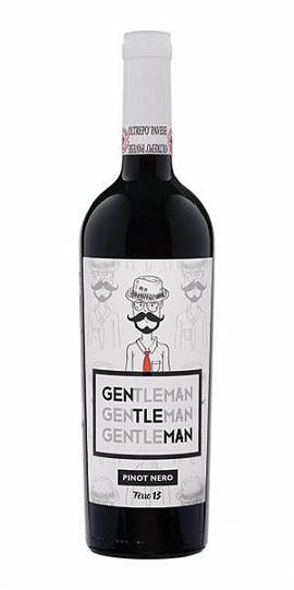 Вино Ferro 13 Gentleman Oltrepo Pavese DOC rosso secco    2018 750 мл