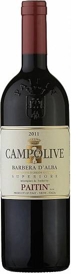 Вино Paitin  Campolive  Barbera D’Alba Superiore DOC Пайтин Камполиве
