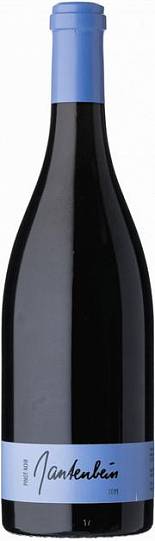 Вино Gantenbein Pinot Noir  2018 750 мл