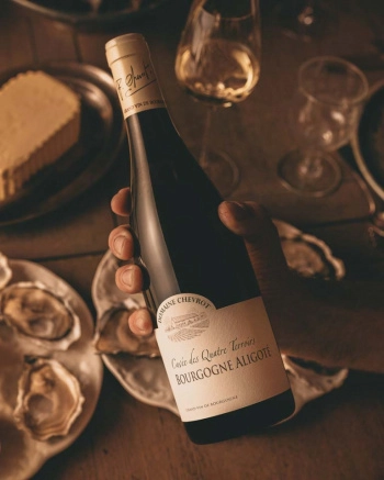 Вино Bourgogne Aligote Cuvee des Quatre Terroirs  2022  750 мл