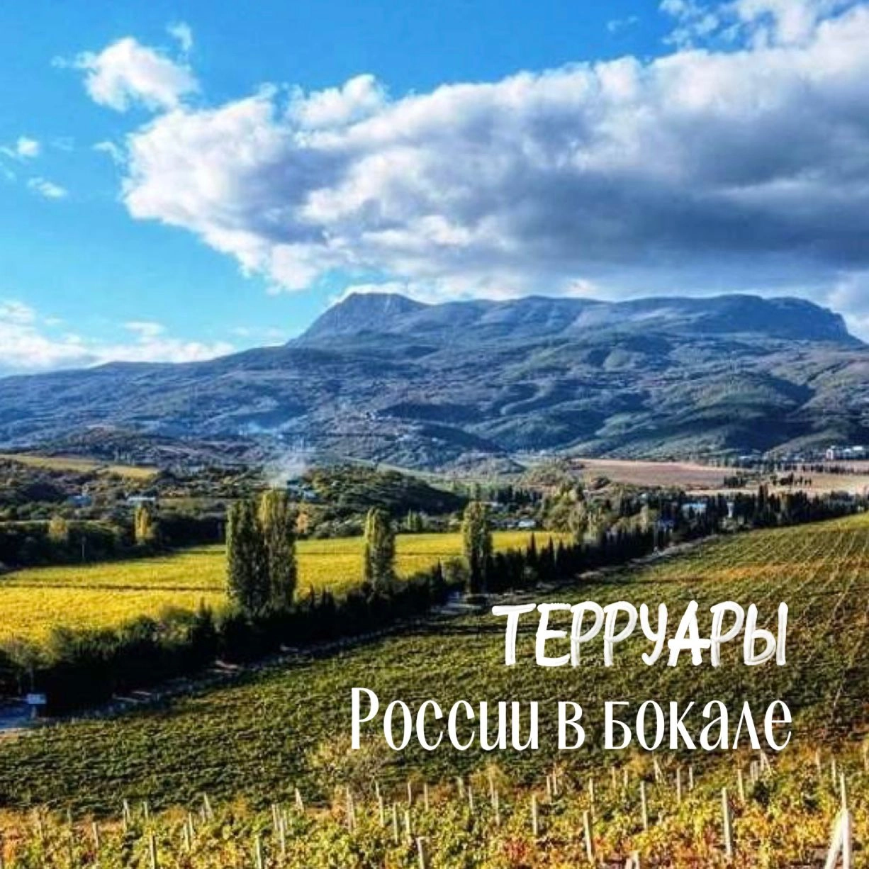 Терруары России в бокале