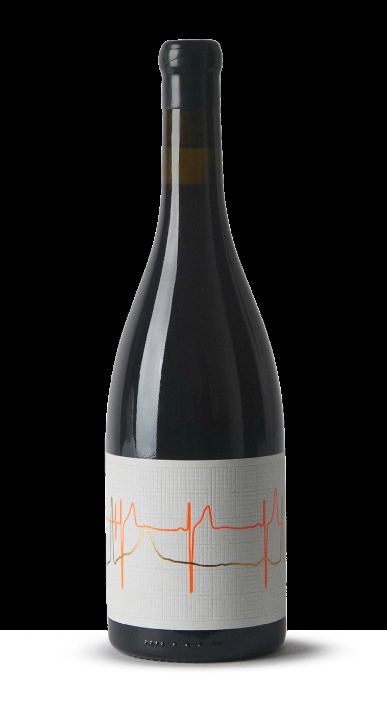 Вино Vina Zorzal  PUNTO DE FUGA CORRAL DEL MATE TINTO X MATIAS MICHELINI  2019 750 мл 1,5%