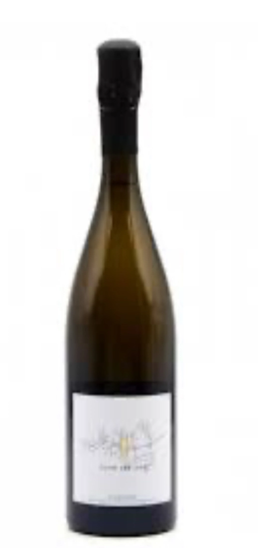 Шампанское JEAN JOSSELIN Cuvée des Jean Blanc de Noirs Extra Brut 2020 750 мл 12,5%