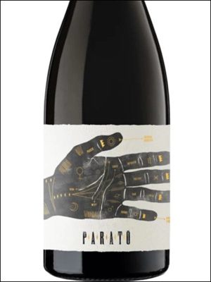 Вино  Parató Vinya Santa Clara DO Penedes Tinto Parató Vinya Santa Clara   2018 750 мл