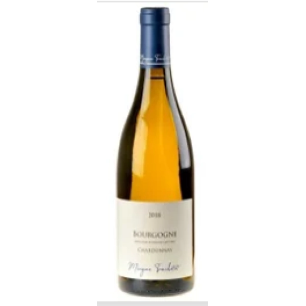 Вино Morgan Truchetet Bourgogne Chardonnay AOC  Морган Трюште Бургонь Шардоне AOC  2019  750 мл  13%