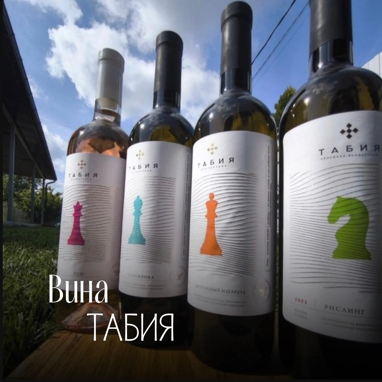 Вина Табия