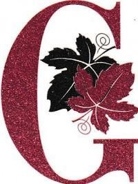 ВиноLe Cabernet Sauvignon de la Chapelle  Ле Каберне Совиньон де ла Шапель  2013 750 мл