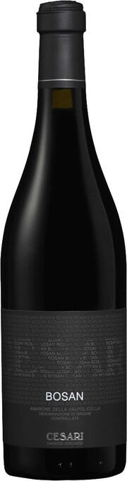 Вино Gerardo Cesari  Bosan  Amarone della Valpolicella Classico    DOC   2008 750 мл