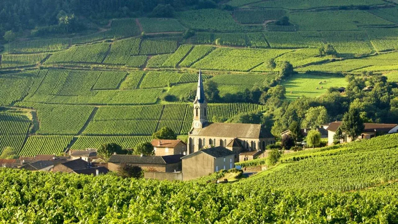 Прогулка по Долине Луары