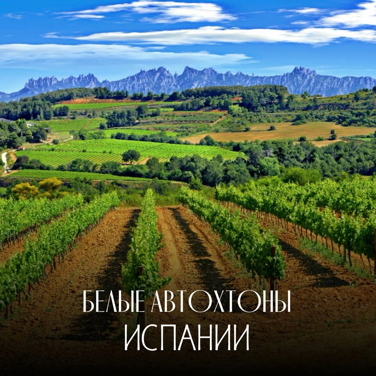Белые автохтоны Испании