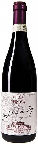 Вино Villa Spinosa Amarone della Valpolicella DOC Classico Guglielmi di Jago Вилла Спиноза Амароне делла Вальполичелла Классико  Гульельми ди Яго 2001 750 мл