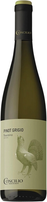 Вино  Concilio   Arjent  Pinot Grigio  Trentino DOC  Консилио  Аржент Pinot Grigio   2021  750 мл 13  %