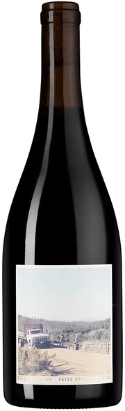 Вино Roberto Henriquez  Fundo la Union Pais  2020 750 мл  12%