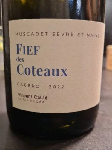 Вино Domaine Le Fay d'Homme Fief des Coteaux Gabbro Muscadet Sévre et Maine 2022  750 мл
