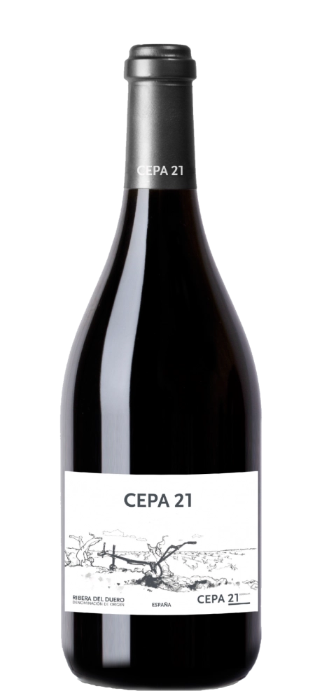 Вино Bodegas Cepa 21     2022  750 мл