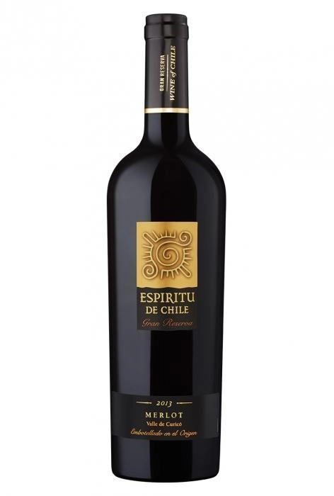 Вино Aresti  Espiritu De Chile Merlot red dry 750 мл