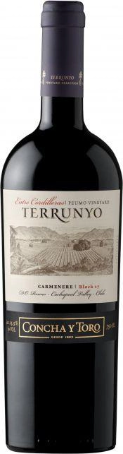 Вино Concha y Toro "Terrunyo" Carmenere   750 мл