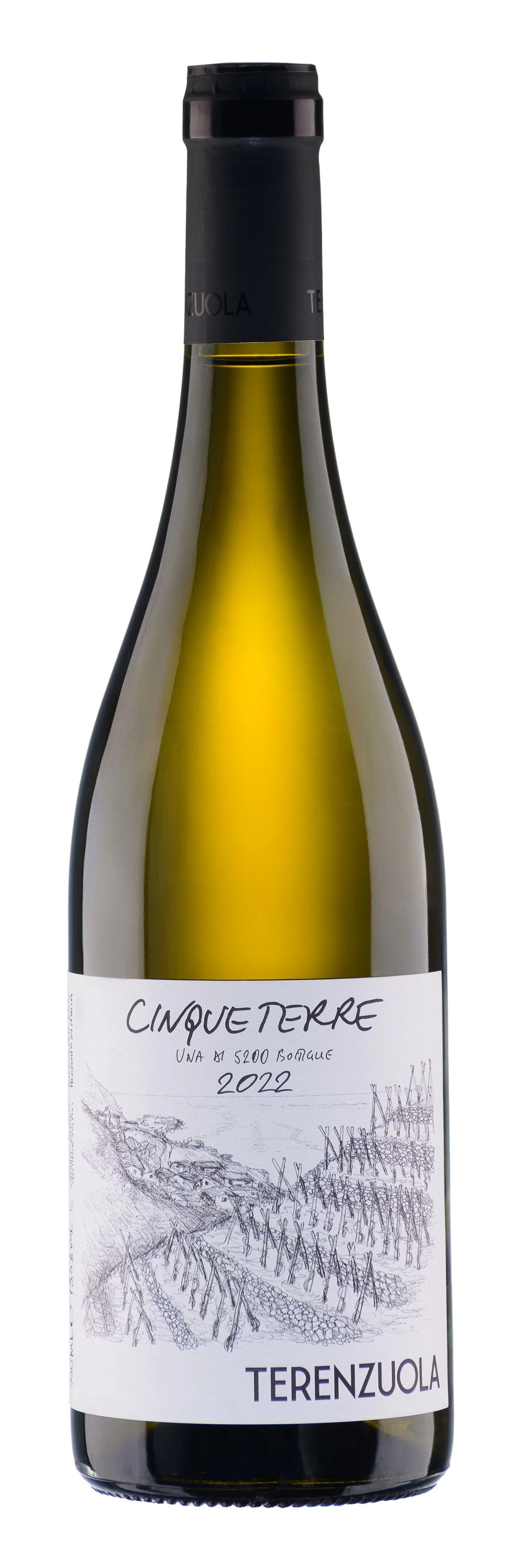 ВиноTerenzuola Cinque Terre 2022 750 ml