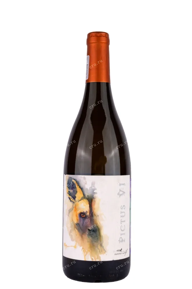 Вино  Painted Wolf Pictus  2017 750 мл 13%