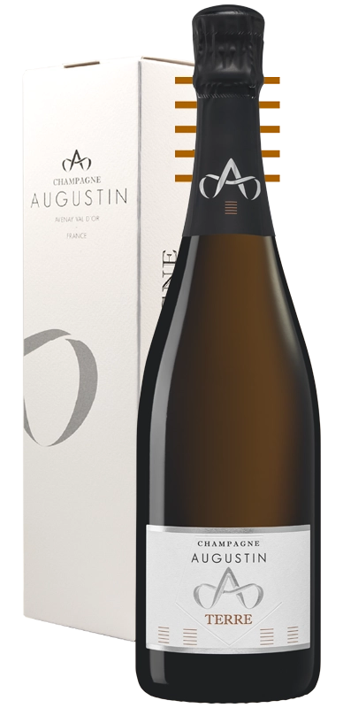 Шампанское Augustin  Terre   Brut  2019 750 мл
