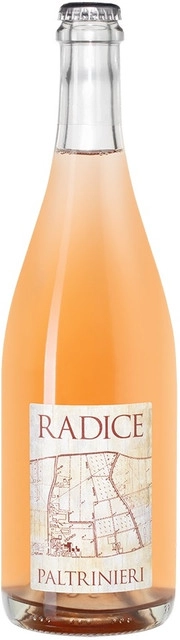 Игристое вино Paltrinieri Radice Lambrusco di Sorbara DOC  2022  750 мл