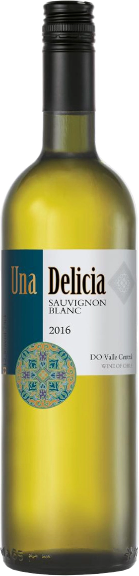 Вино Vinedos Puertas Una Delicia Sauvignon Blanc Valley Central DO  2022  750 мл