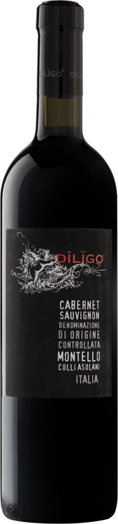 Вино Anna Spinato Cabernet Sauvignon  Diligo  IGT  2021  750 мл