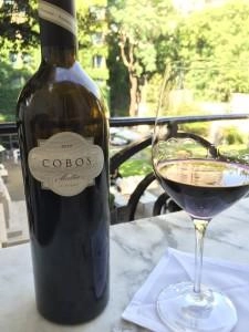 Аргентинский Мальбек против французского