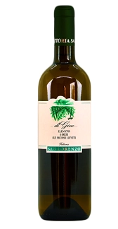 Вино Vigna di Gino Verdicchio dei Castelli di Jesi Classico ДИ ДЖИНО МАРКЕ БЬЯНКО ИГТ  2020  750 мл 13,5%