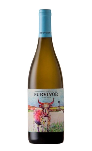 Вино Survivor Chenin Blanc   750 мл
