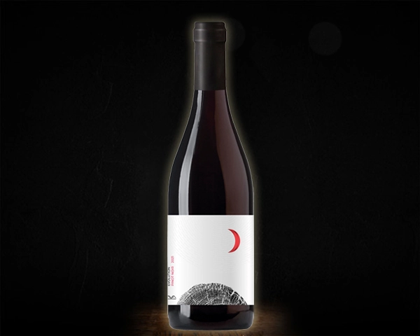 Вино   Evolution pinot noir, Aya Organic Wine  Эволюшн Пино Нуар красное сухое  750 мл 12 %