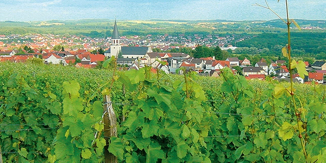 Вино Hummel Chury   2021 750 мл.