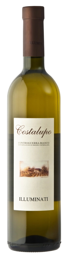 Вино Costalupo Controguerra DOC  2021 750 мл