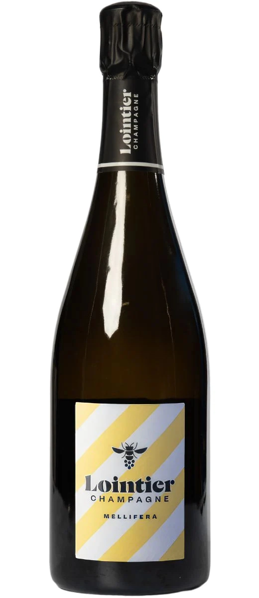 Шампанское LOINTIER Mellifera Extra Brut  2022  750 мл