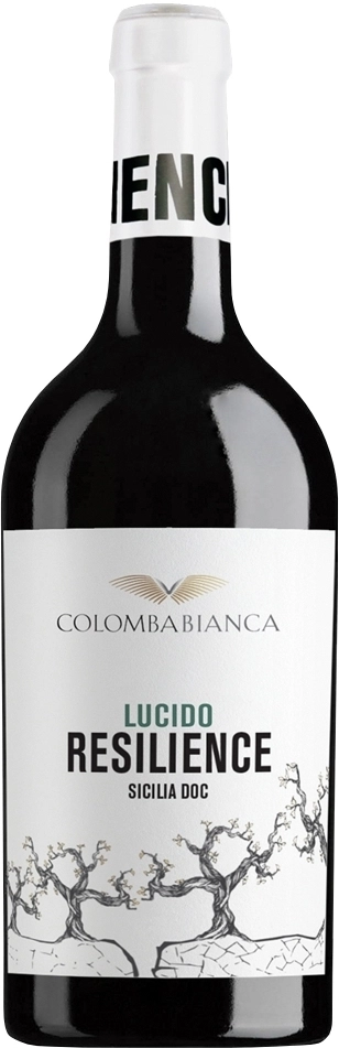 Вино Colomba Bianca Resilience Lucido Sicilia  2021 750 мл