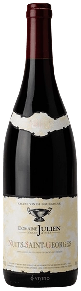 Вино Domaine Gérard Julien & Fils Nuits-Saint-Georges  2017 750 мл 13%