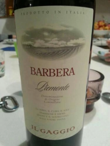 Вино Il Gaggio Barbera Piemonte  2019 750 мл