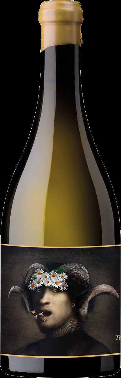 Вино OXER BASTEGIETA ZENIGAONAINDIA  Terlegiz DO Bizkaiko Txacolina  2021 750 мл 13,5 %