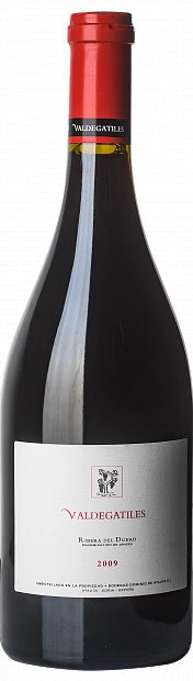 Вино Dominio de Atauta  Valdegatiles  2010 750 мл