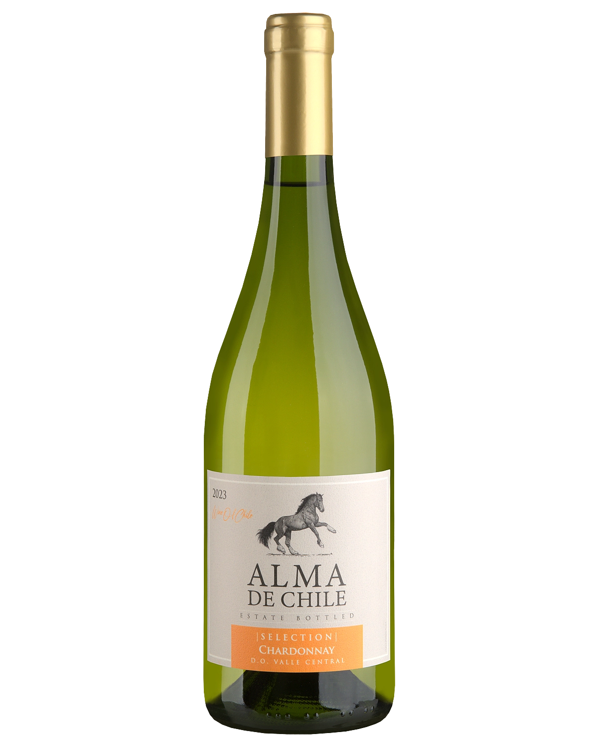 Вино Alma de Chile Chardonnay  2023  750 мл