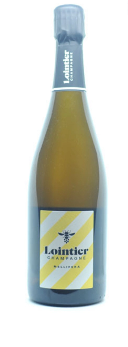 Шампанское LOINTIER Mellifera Extra Brut 2021 750 мл 12%