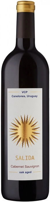 Вино Salida Cabernet Sauvignon   Салида Каберне Совиньон  выдержанное красное сухое 2022 750 мл  12,5%