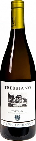 Вино Fattoria di Petrognano Toscana IGT Trebbiano  2016 750 мл