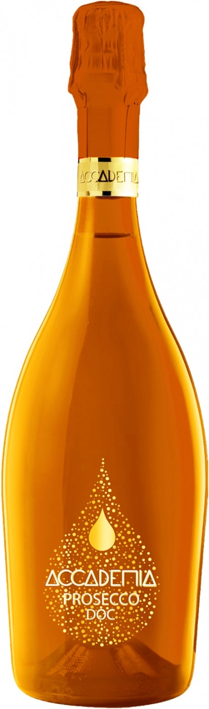 Игристое вино BOTTEGA  Accademia Prosecco DOC Brut orange  bottle  750 мл