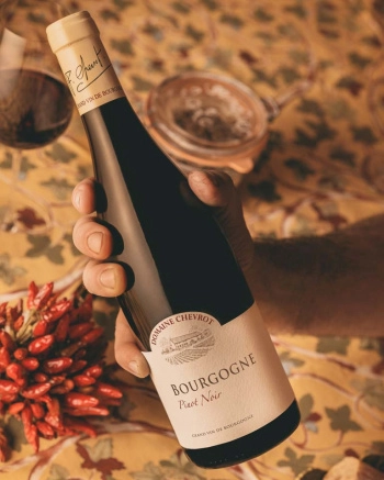Вино Domaine Chevrot et Fils Bourgogne Pinot Noir   2022  750 мл