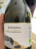 Игристое вино Divigna Conegliano Valdobbiadene Prosecco Superiore DOCG Brut 2022 750 мл 11,5%