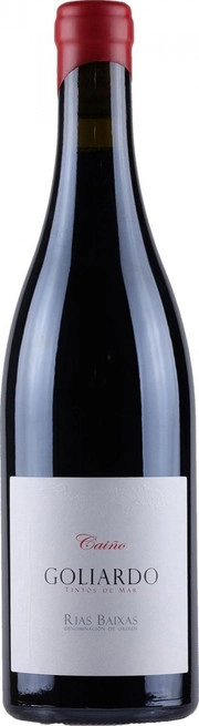 Вино Bodegas Forjas del Salnés  Goliardro Caino     2017 750 мл