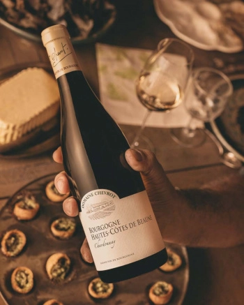 Вино Bourgogne Hautes-Côtes de Beaune  2022  750 мл
