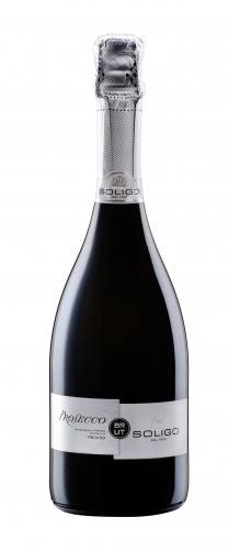 Игристое Вино Soligo Prosecco DOC Treviso Brut   750 мл