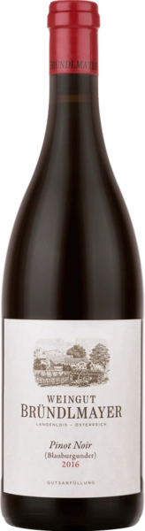 Вино Weingut Brundlmayer Pinot Noir (Blauburgunder) Брюндльмайер  Пино Нуар (Блаубургундер) 2019 750 мл